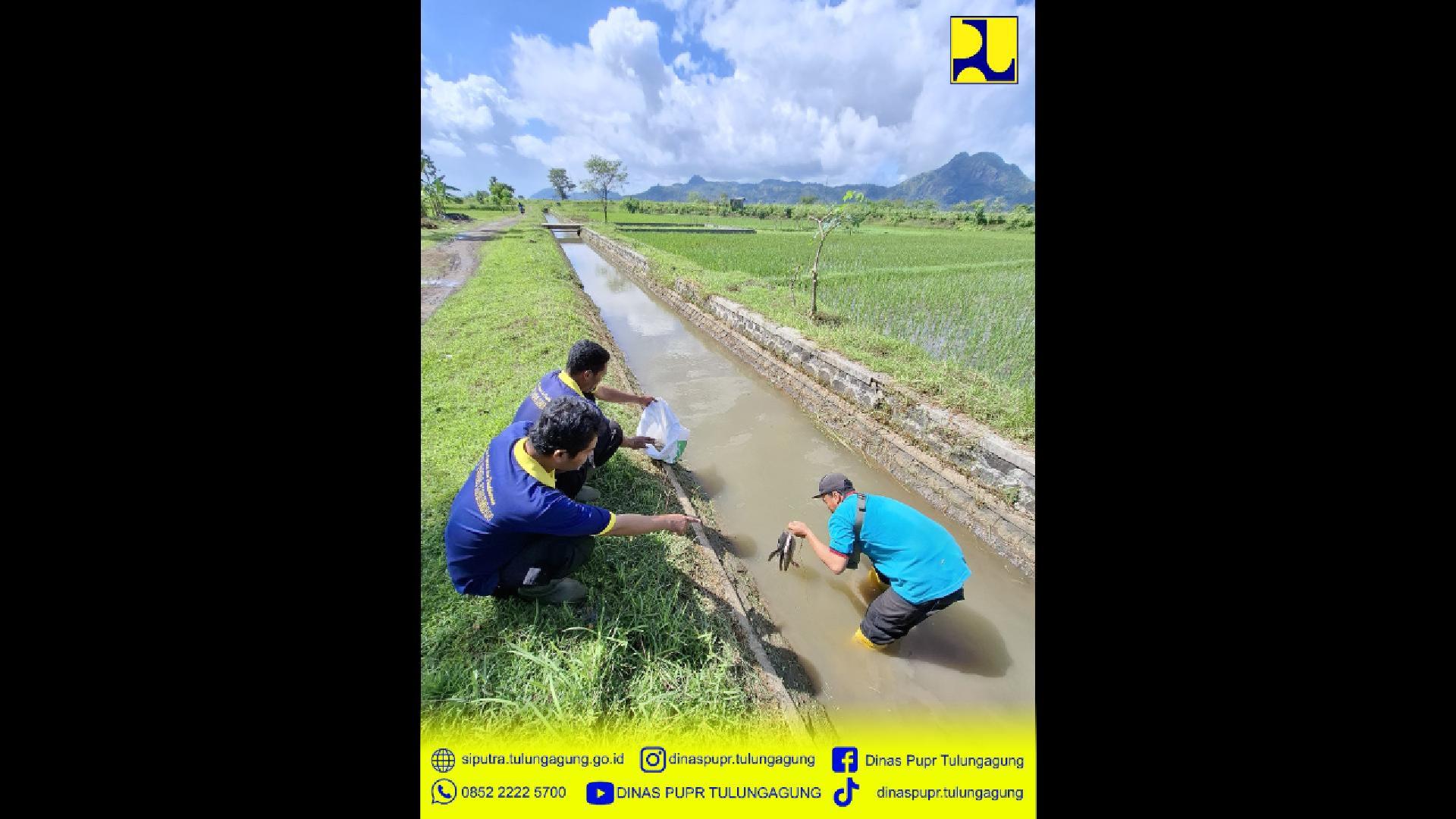 Kerja Mobile Tim OP JI UPT PSDA Kauman di Desa Kepuh